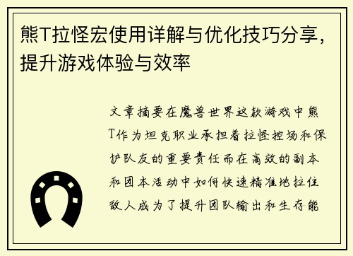 熊T拉怪宏使用详解与优化技巧分享，提升游戏体验与效率
